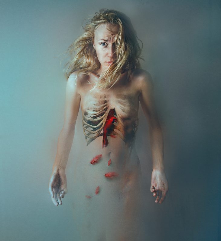 摄影大师作品集，各种相机RAW原片、可商用图片视频等资源图集素材下载网站