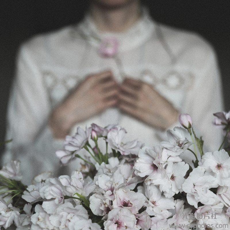 摄影大师作品集，各种相机RAW原片、可商用图片视频等资源图集素材下载网站