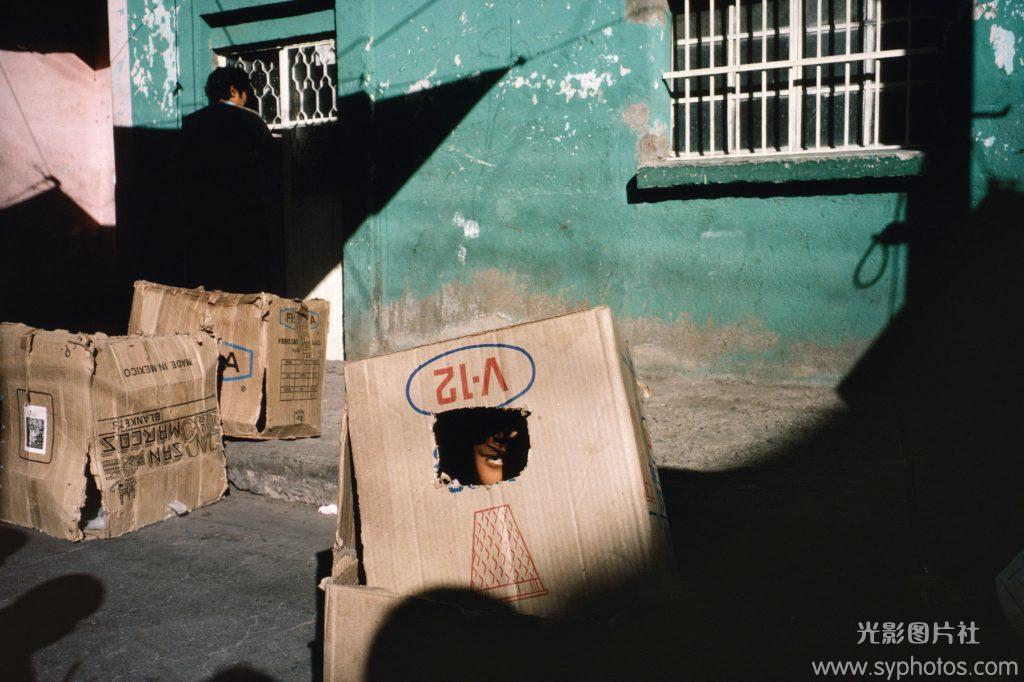 Alex Webb GYM整理-38