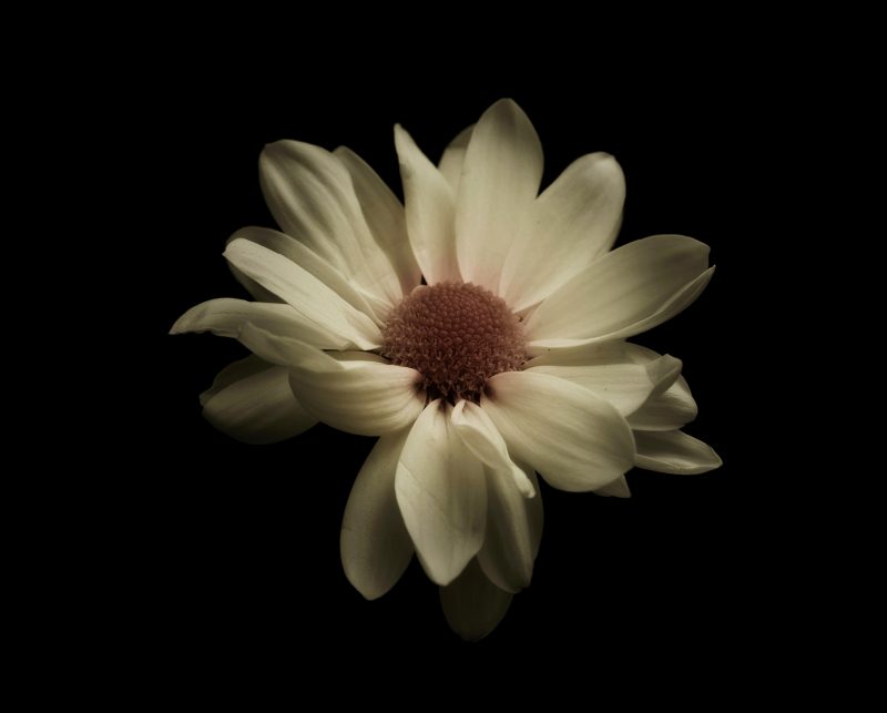 摄影大师作品集，各种相机RAW原片、可商用图片视频等资源图集素材下载网站