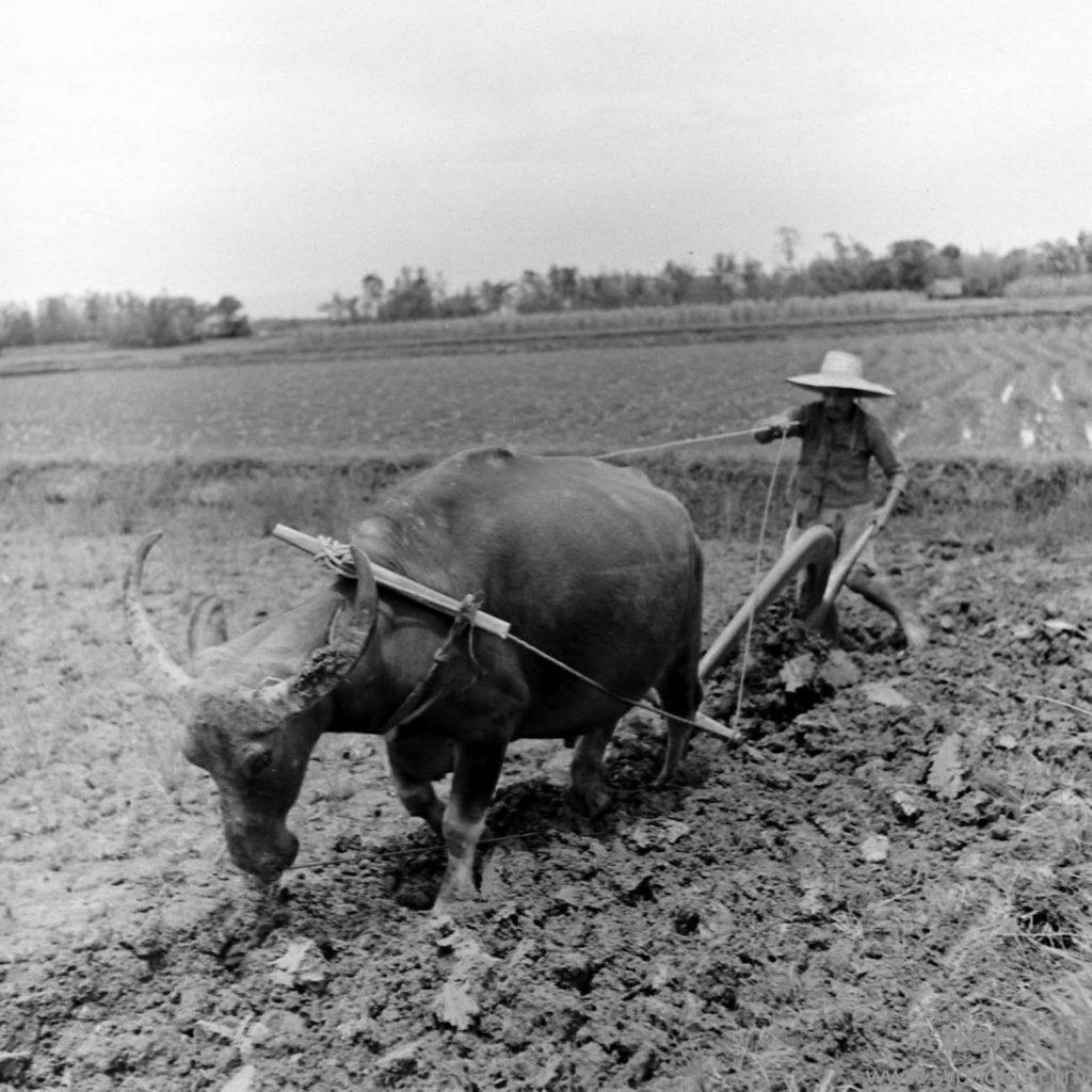 迈登斯二战中国摄影集.By Carl Mydans.美国生活杂志.1940-1949年.pdf_141