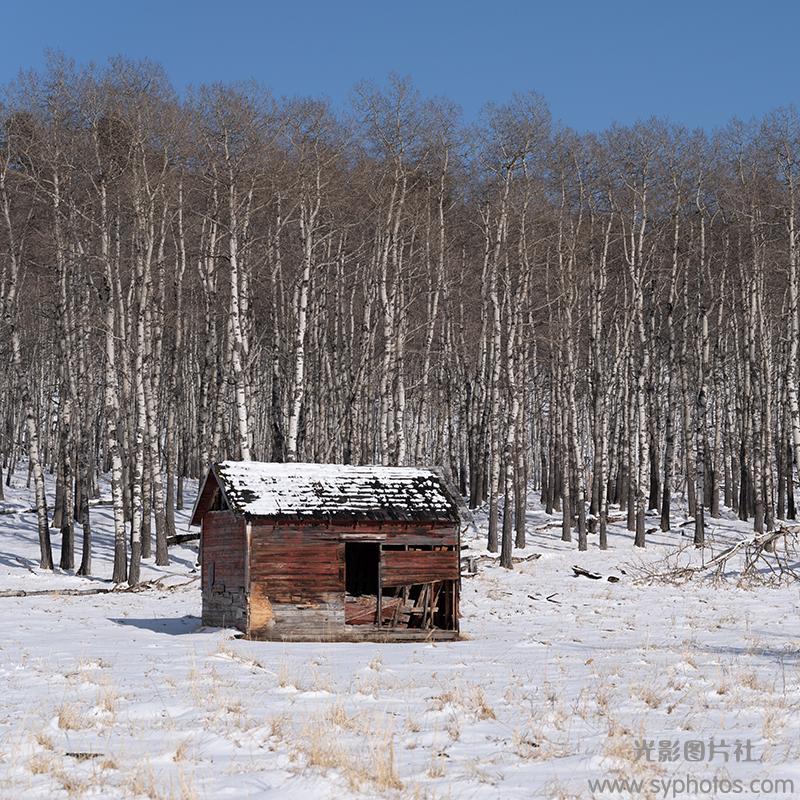 摄影大师作品集，各种相机RAW原片、可商用图片视频等资源图集素材下载网站