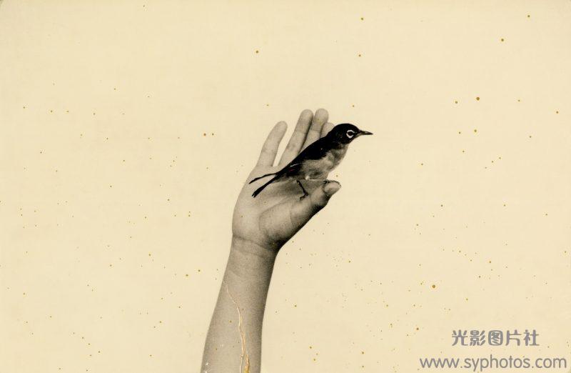 摄影大师作品集，各种相机RAW原片、可商用图片视频等资源图集素材下载网站