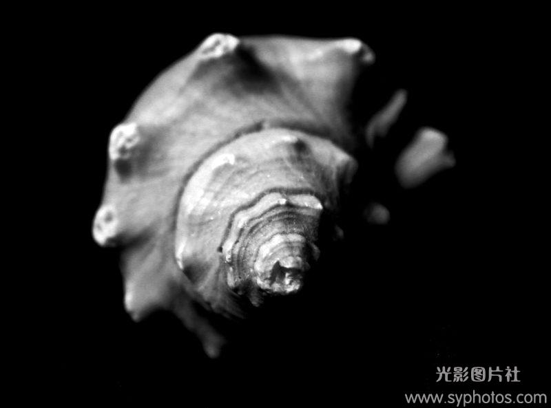 摄影大师作品集，各种相机RAW原片、可商用图片视频等资源图集素材下载网站