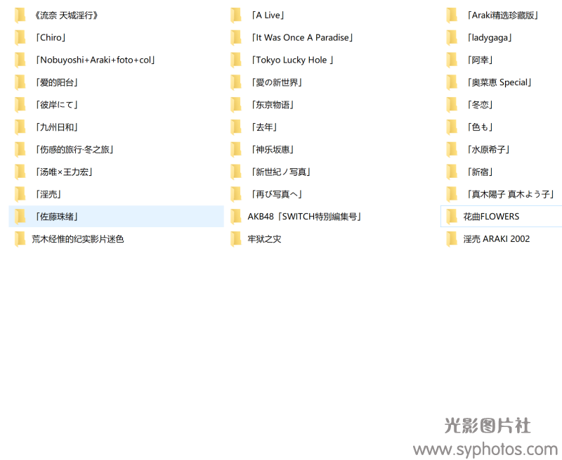 荒木经惟 (33部)Nobuyoshi Araki 日本摄影大师作品集电子版下载-光影图片社