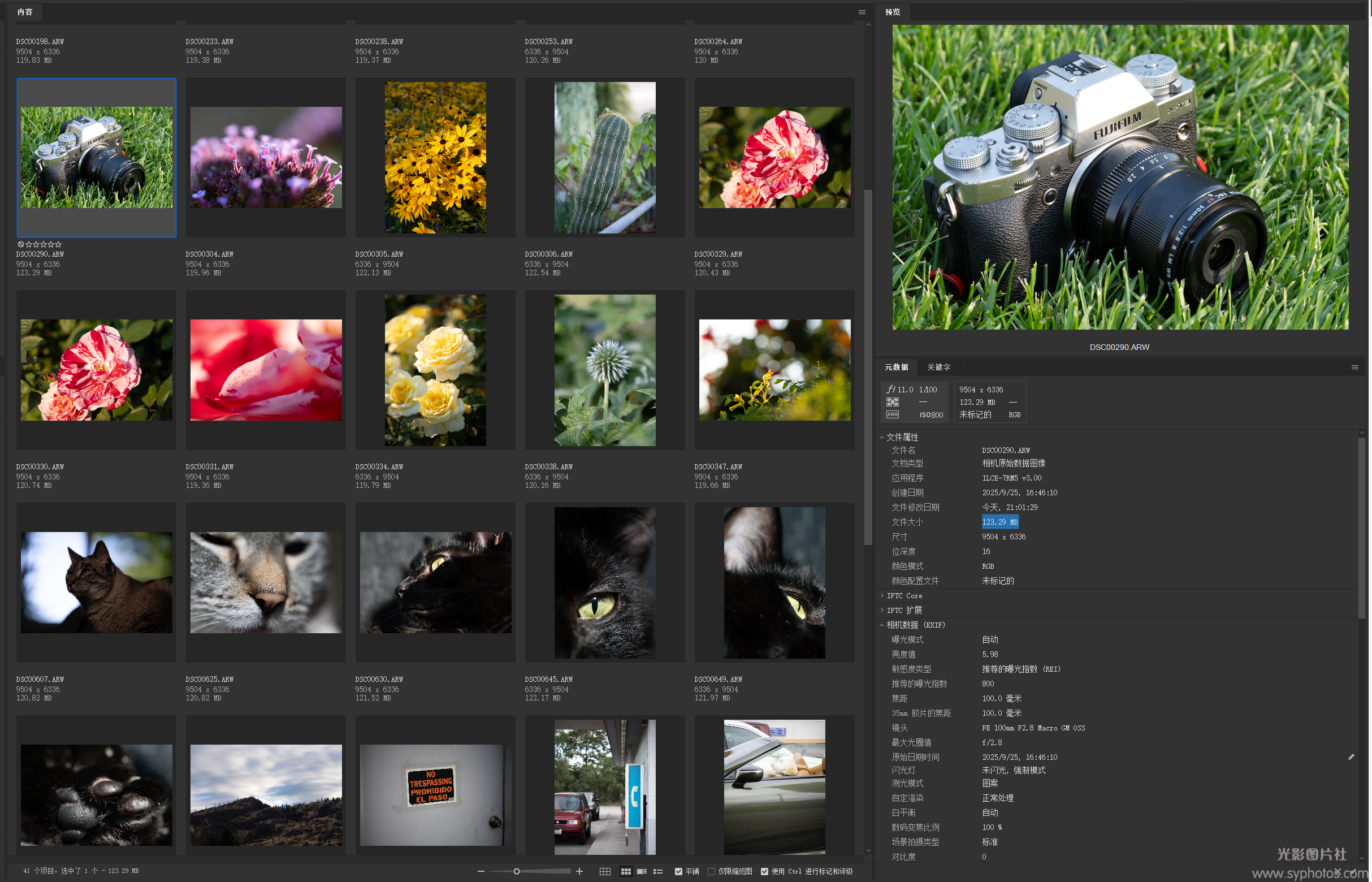 (40张) 索尼 FE 100mm F2.8 Macro GM 样片-光影图片社