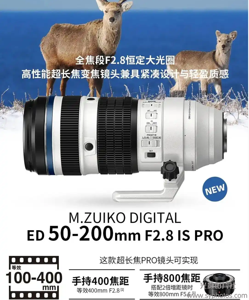 20251004095250917-QQ截图20251004093917
