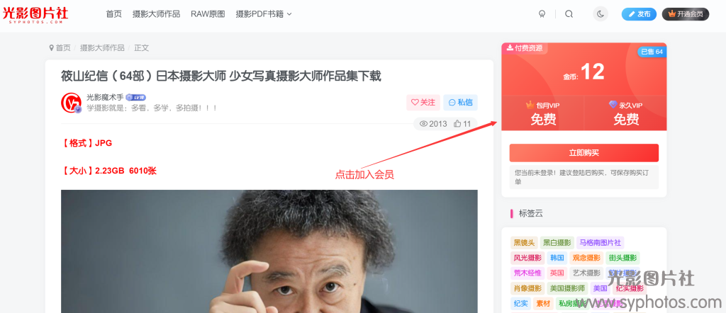 本站VIP会员简介-光影图片社
