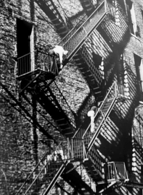 图片[2]-Andre Kertesz  安德烈柯特兹 摄影作品集（1100P/431MB）-光影图片社