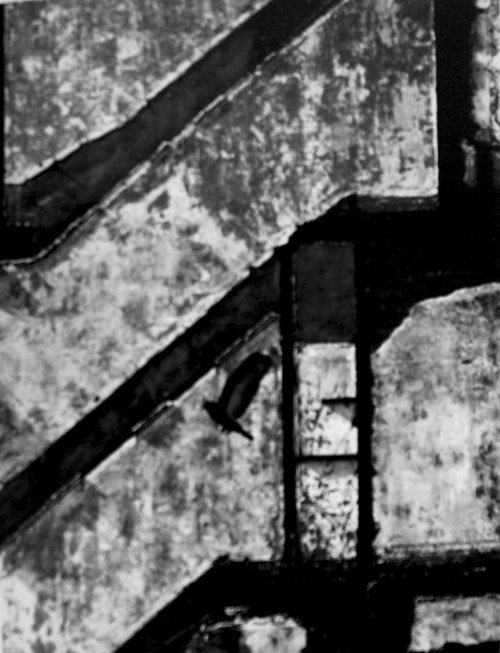 图片[8]-Andre Kertesz  安德烈柯特兹 摄影作品集（1100P/431MB）-光影图片社