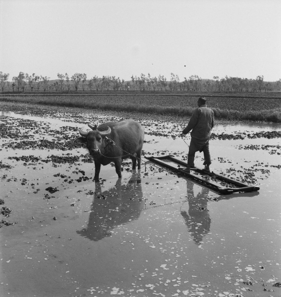 20260809084714412-Hedda Morrison Photographs of China.0021