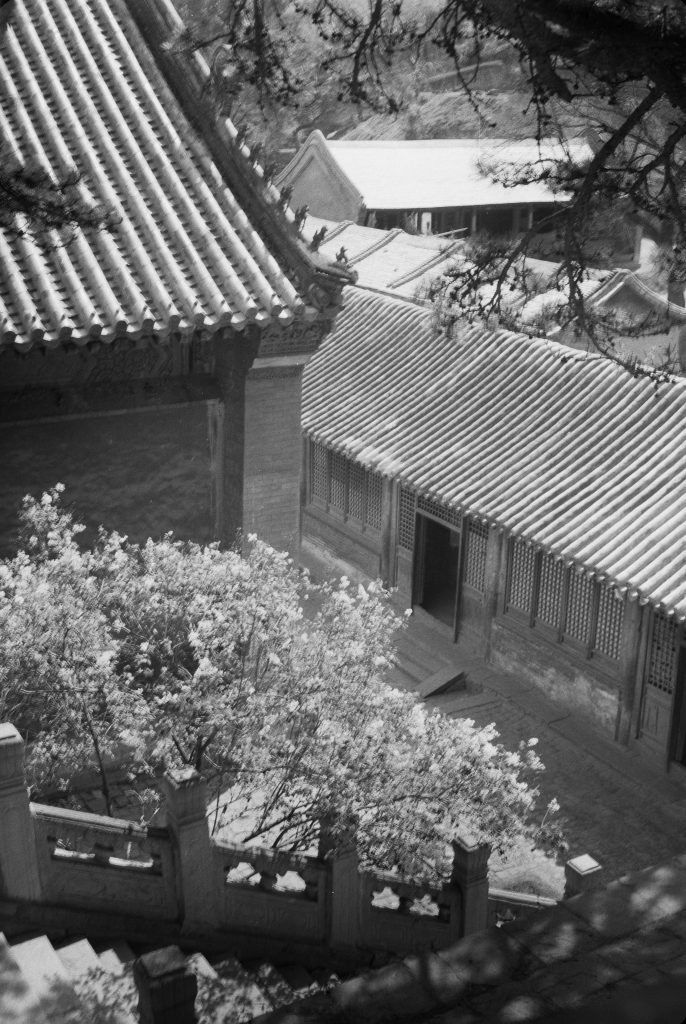 20260809084729234-Hedda Morrison Photographs of China.0116